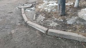 Анекдоты от автора снова)