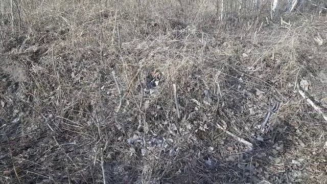гадюки смотреть онлайн