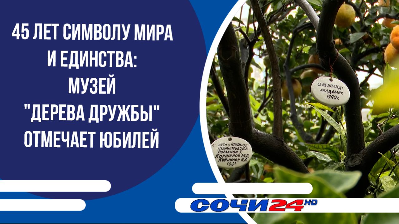 45 лет символу мира и единства: музей "Дерева Дружбы" отмечает юбилей