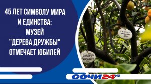 45 лет символу мира и единства: музей "Дерева Дружбы" отмечает юбилей
