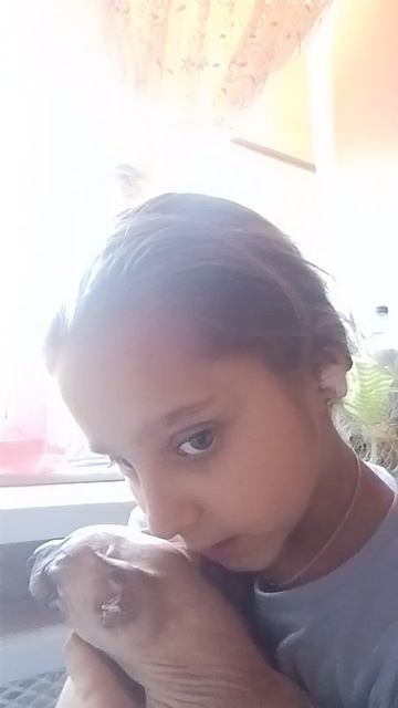 весна пришла