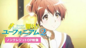 Звучи, эуфониум!/Hibike! Euphonium (Opening 2)