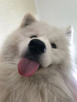 ПРОБУЕМ ЧТО КУПИЛИ