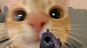 просто гуляем