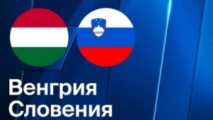 Венгрия - Словения. Обзор матча