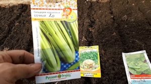 2324.  Витаминное ассорти на грядку.ВПЛ, 23.03.21 г.