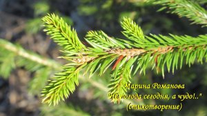 © Марина Романова "НЕ ПОГОДА СЕГОДНЯ, А ЧУДО!.." (стихотворение 15.03.2020)