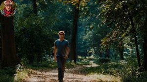 Пока шишек не набьём