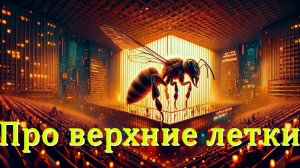 Нужен ли верхний леток? Объяснение Кашковского и опыт Ермолаева
