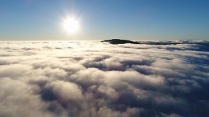 Живи Сейчас- Пока Хватает Сил☝️💯 
Душевный Шансон💯💣