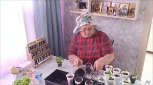 31.03.26. Занимаюсь цветами. В теплице.