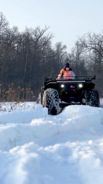 Идем на сплав?