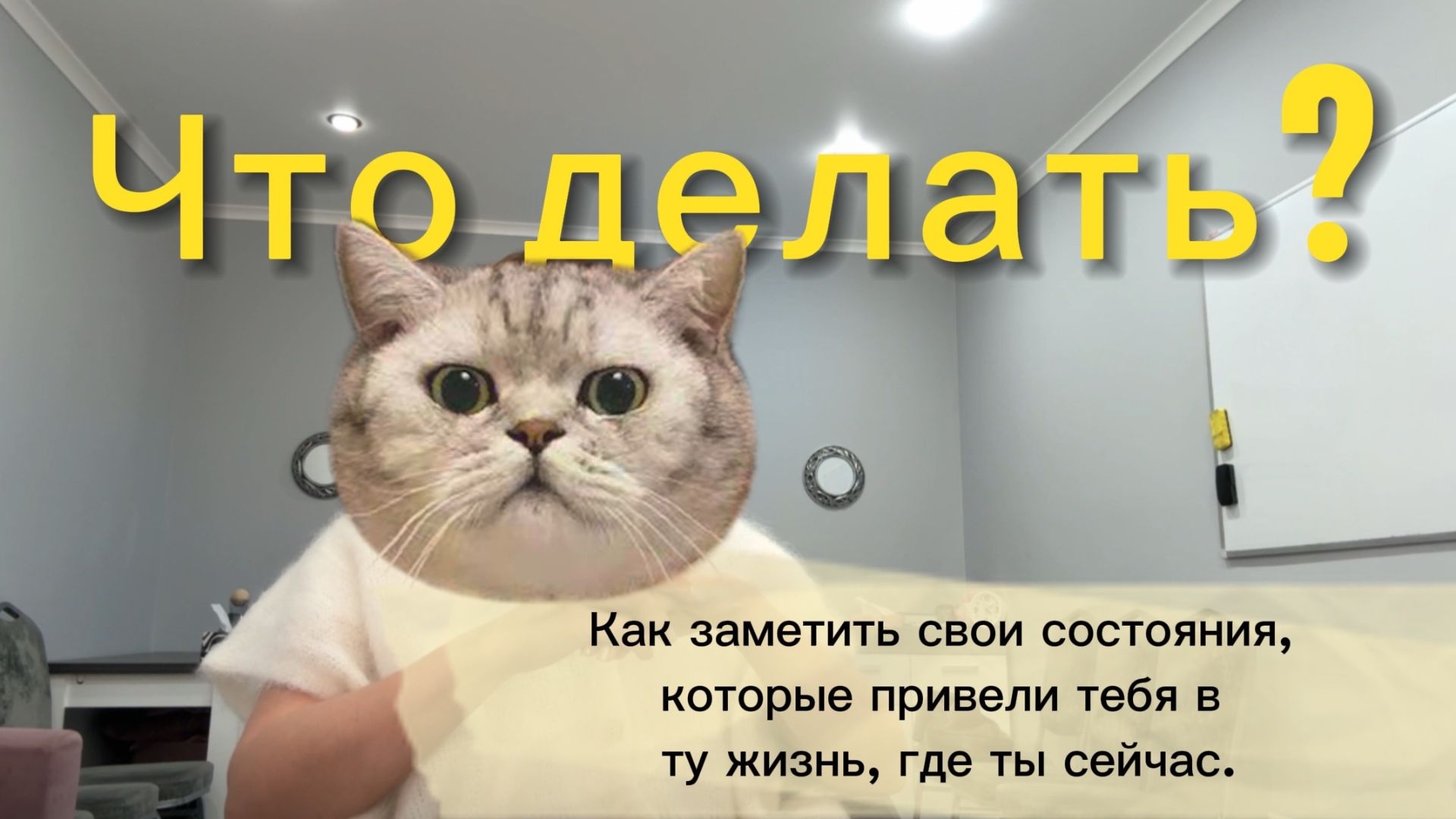 Как начать что-то менять в своей жизни? Паттерны которые вами управляют.