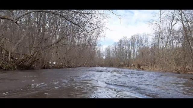 Сплав Б-Тигма март 2026