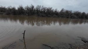 Судак с берега на спиннинг | Тест спиннинга Hearty Rise