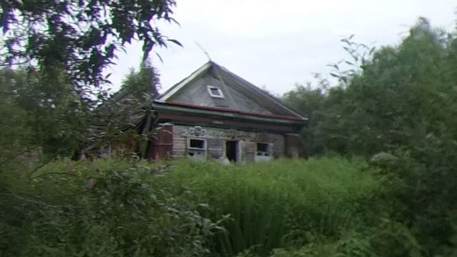 360 Каринторф . 3-й посёлок.  Бывшая Маланинская узкоколейка.  Торф на костях_injected_injected