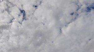 ПРИВИВКА ОТ СТАРИКАНА👌ПЛАНИРОВАТЬ БЕСПОЛЕЗНО