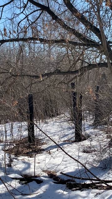 Вход в прошлое