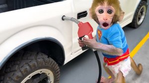 🐒Обезьянка отправляется в путешествие на машине со своим другом Утёнком🐤