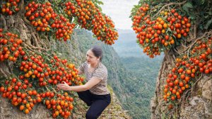 Собрала, урожая помидоров черри | Традиционный деревенский салат с личинками кокосового жука.