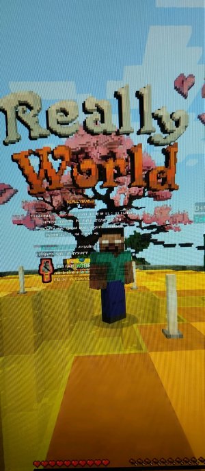 really world сервер домера