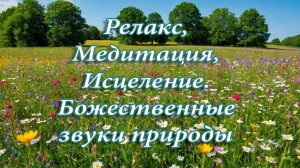 Звуки природы — лучшая терапия для души! РЕЛАКС, МЕДИТАЦИЯ,ГЛУБОКЙ СОН