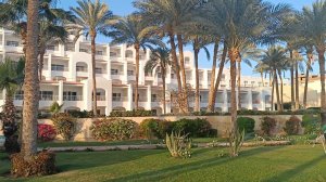 Отель ,,Siva Sharm Resort Spa 4*».Цветочное любование