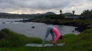 Хатха-йога на всё тело / Йога для всех уровней. Йога с Натальей Полянской