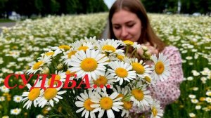 судьба Юрий Малинин ♫ Dance Dj YouRA (RED ALERT) красивая песня о любви юности