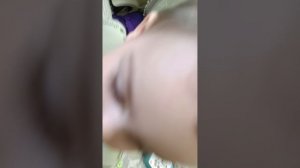 самые милые хомячки  и дружные