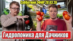 Гидропоника для рассады малообъёмный мегаурожай!