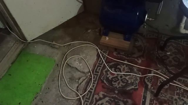 28 декабря 2023 г. Мой дом.Опять гоняю коров,теперь с участка(((