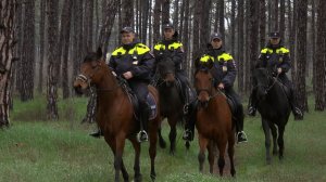 С 1 апреля в Севастополе начинается пожароопасный сезон