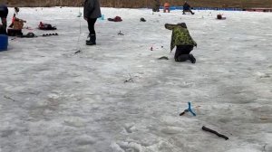 31.03.26 г. РК Волна.