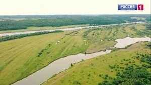 "Лес и человек. За пределами урбанистики". Что нового в лесном хозяйстве?