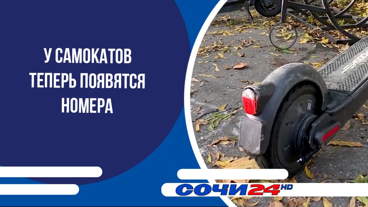У самокатов теперь появятся номера
