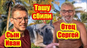 Отец Сергей и Сын Иван | Таша попала в авария | Дерево обрезали | Копаем котлован для дома