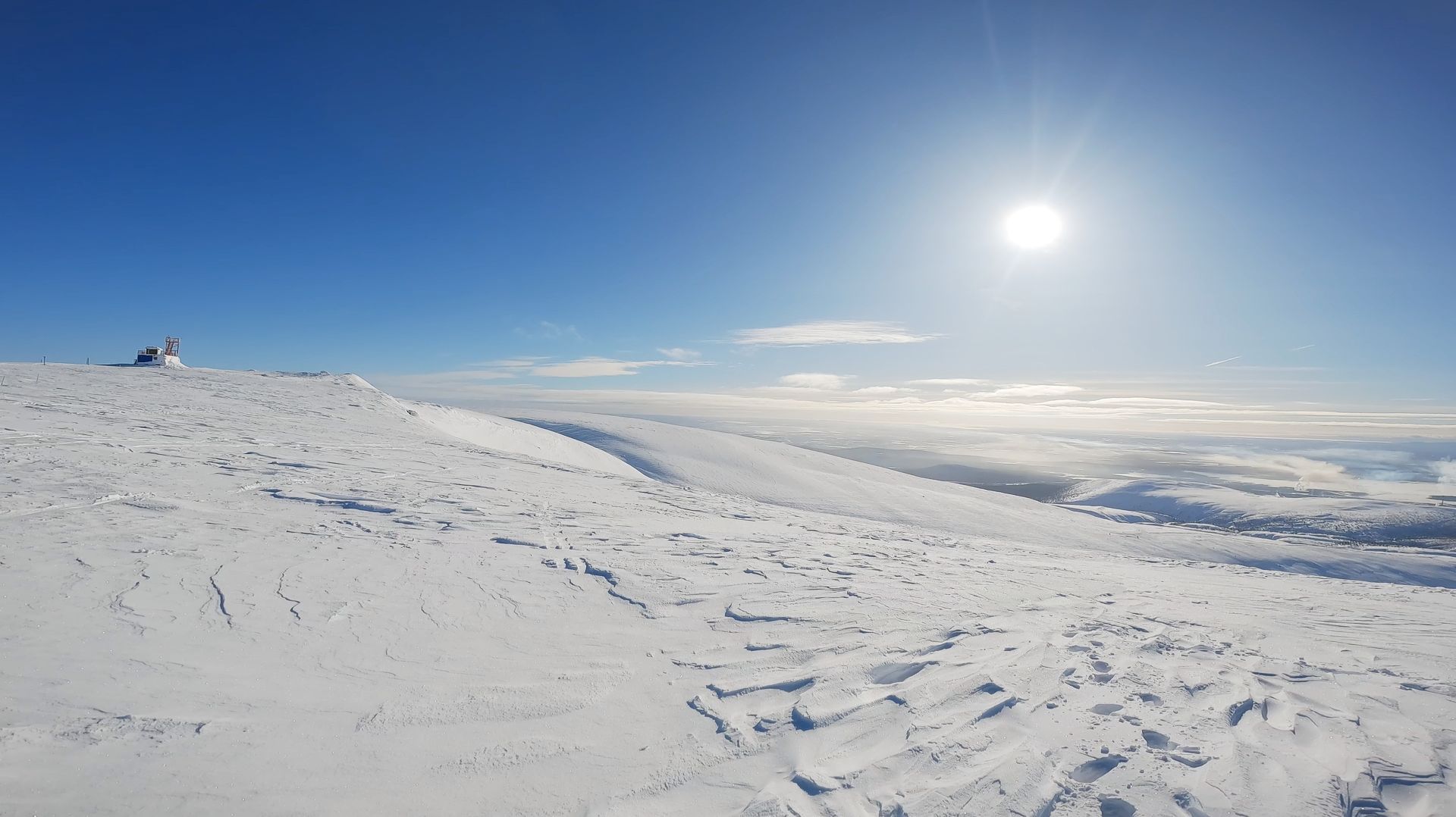 BigWood 2026. FreeRide Only!