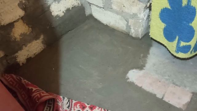 29 декабря 2023г.Мой дом.Новые жалюзи и опять коровы)