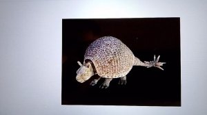 ледниковый период,древние млекопитающии