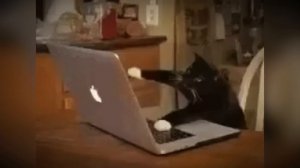 СРОЧНО! СЛИВ ОБНОВЛЕНИЯ В БРАВЛ СТАРС! НОВЫЙ БРАВЛЕР! ПОДАРКИ БРАВЛ СТАРС! ОБНОВЛЕНИЕ BRAWL STARS!