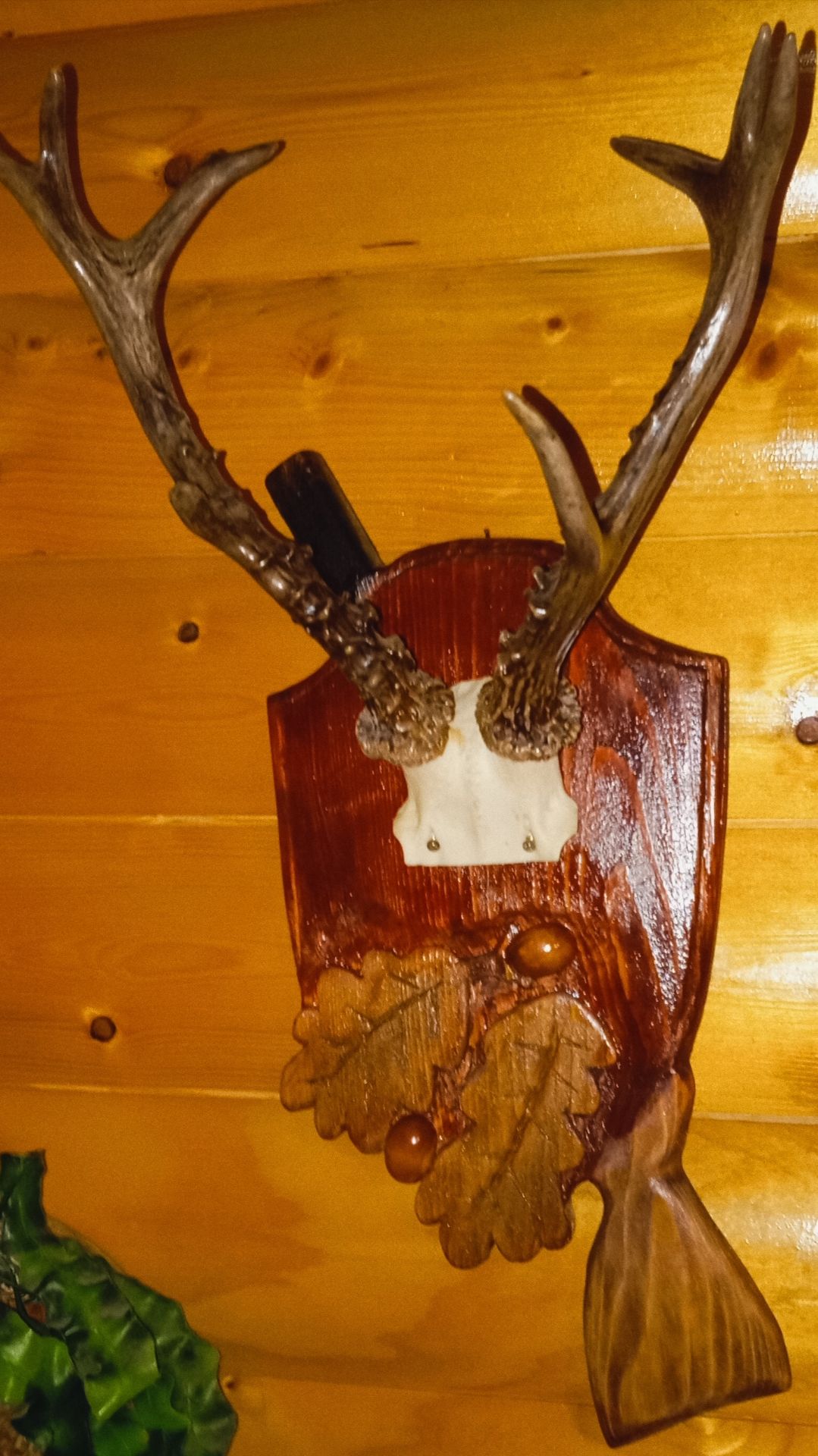 Реалистичный симулятор охоты. Хотел взять Волка а вышел Лось пришлось бить. Hunter Call of the Wild