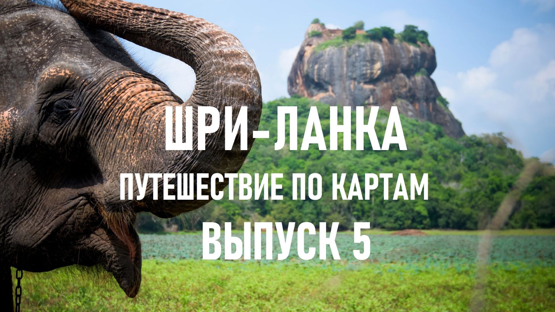 Шри-Ланка: Поезд в облаках, Львиная скала и чайные плантации - выпуск 5 "Путешествие по картам"