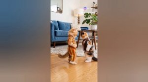 ХОРОШЕГО НАСТРОЕНИЯ 🎋 ИСКРЕННЕ ЖЕЛАЮ ВАМ😺СПАСИБО БОЛЬШОЕ ЗА ПОДДЕРЖКУ КАНАЛА❗ЛАЙК❤РАКЕТА🚀ПРОСМОТР