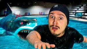 МНЕ НУЖНО ПЕРЕПЛЫТЬ ЭТОТ БАССЕЙН... НО ТАМ ОГРОМНАЯ АКУЛА
