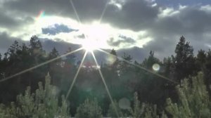 ОХОТА НА ЛИСУ, ЗАЙЦА