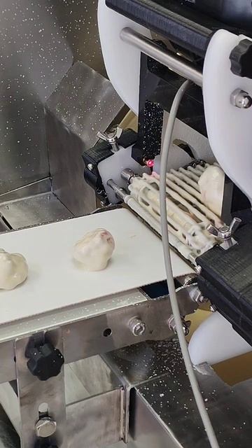 Глазировка замороженной ежевики на линии Jastin Frozen Fruit.