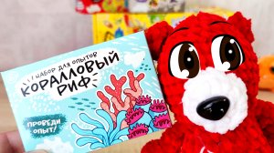 Коралловый Риф. Медведев Костя. Эксперимент. Опыт