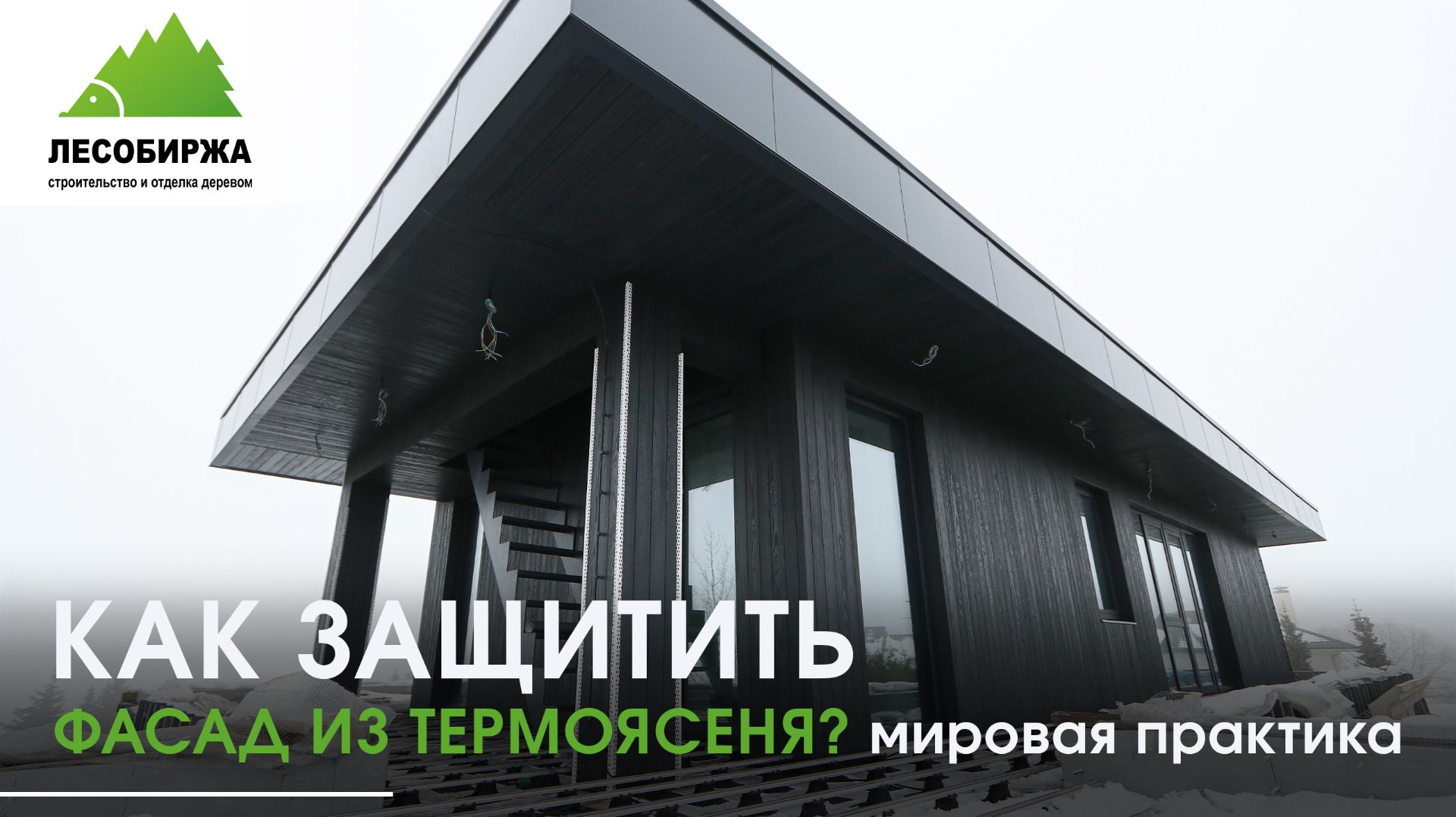 ПОЧЕМУ ТЕРМОЯСЕНЬ СЕДЕЕТ 😱 И как СОХРАНИТЬ ЦВЕТ на 10 лет