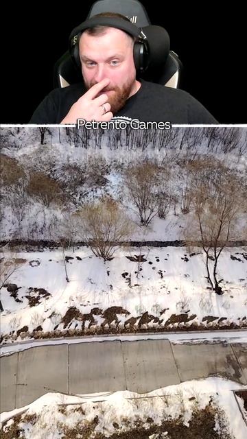 Петренто снег